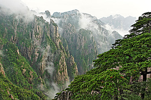 苍蝇粉在淘宝上的暗名C1B8D97C5-18975